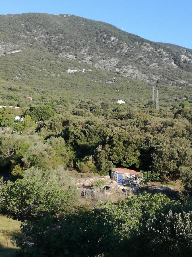 Mi Apartament *